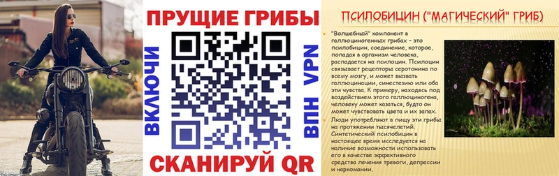 продажа наркотиков  Симферополь  Галлюциногенные грибы Psilocybine cubensis 